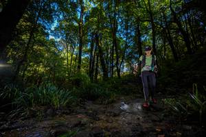 BIB: 
                            <button type="button" onclick="openModal(19241089)" class="btn btn-primary btn-sm float-right btn-popup" data-toggle="modal" data-target=".modal-high-quality">
                        <i class="fas fa-shopping-cart"></i> Add to Cart
                    </button>
                                            <button type="button" onclick="isThisMe(19241089, true)" class="btn btn-success btn-sm float-right btn-popup btn-isme hidden" data-toggle="tooltip" data-placement="bottom" title="นี่คือรูปของคุณใช่ไหม คลิกที่นี่เพื่อเอาเข้าอัลบั้ม">
                        <i class="fas fa-plus"></i> Add to album
                    </button>
                    <button type="button" onclick="isThisMe(19241089, false)" class="btn btn-warning btn-sm float-right btn-popup btn-isnotme hidden">
                        <i class="fas fa-ban"></i> Remove from album
                    </button>